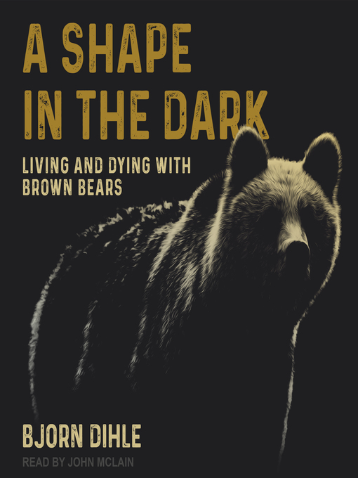 Title details for A Shape in the Dark by Bjorn Dihle - Available